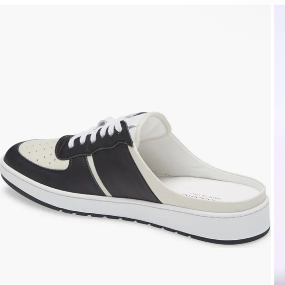 Collegium - Picture 9 of 12